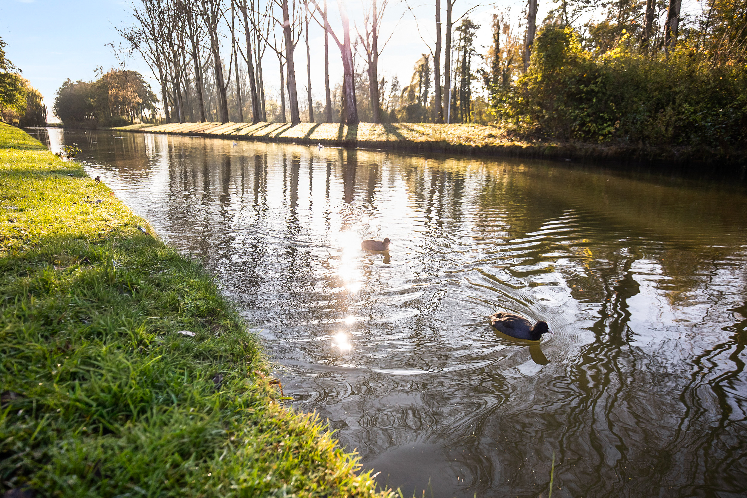 Nachtschadestraat 68 , 2153 EM Nieuw-vennep 34